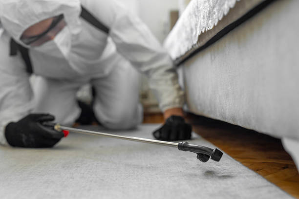 Professional Bed Bug Control technician working in Tumwater, WA